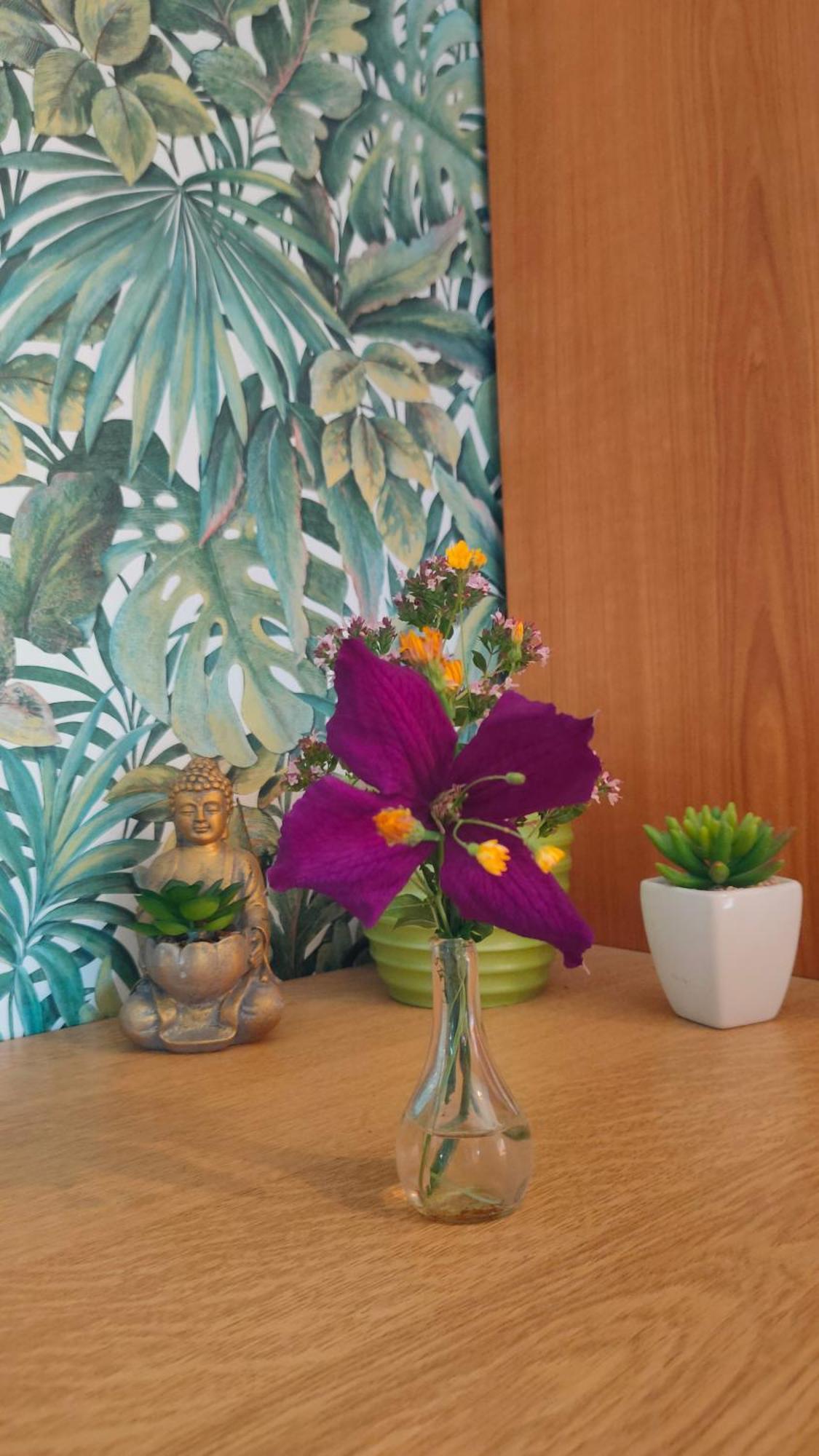 Jan'S Homestay! #Kassel-Lohfelden Номер фото
